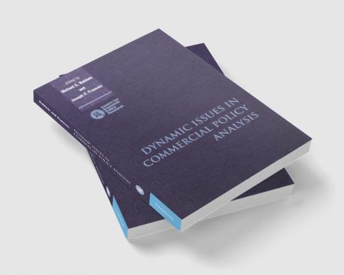 Dynamic Issues in Applied Commercial Policy Analysis