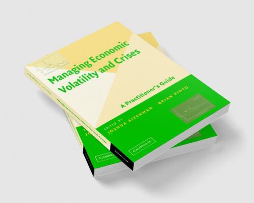 Managing Economic Volatility and Crises