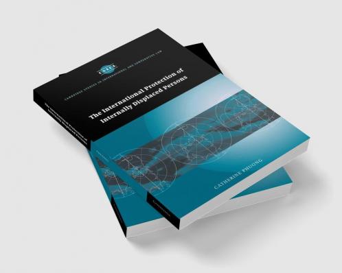 The International Protection of Internally Displaced Persons