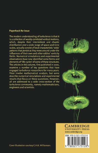 Turbulence Structure and Vortex Dynamics