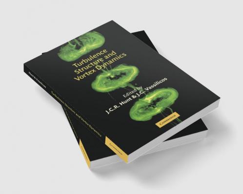 Turbulence Structure and Vortex Dynamics