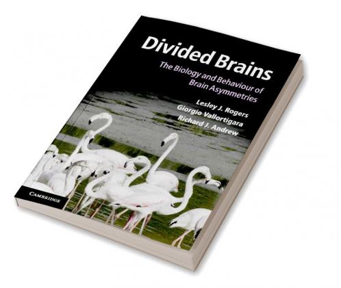 Divided Brains