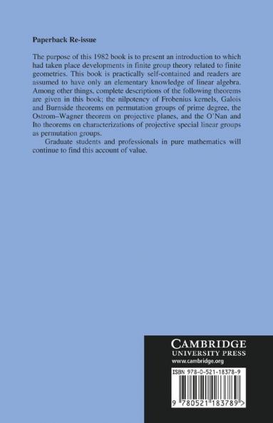 Finite Groups and Finite Geometries