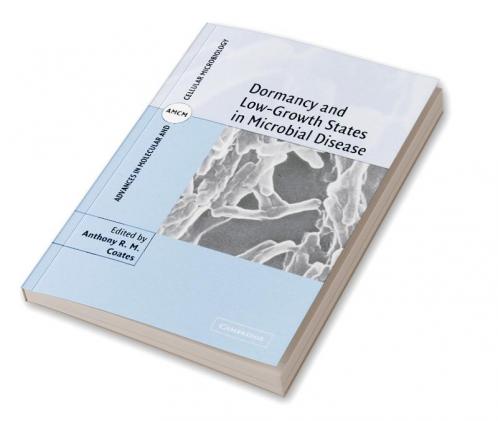 Dormancy and Low Growth States in Microbial Disease