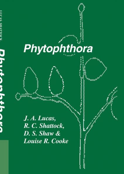 Phytophthora