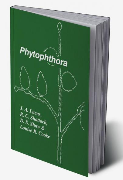 Phytophthora