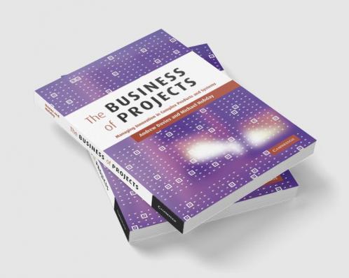 The Business of Projects