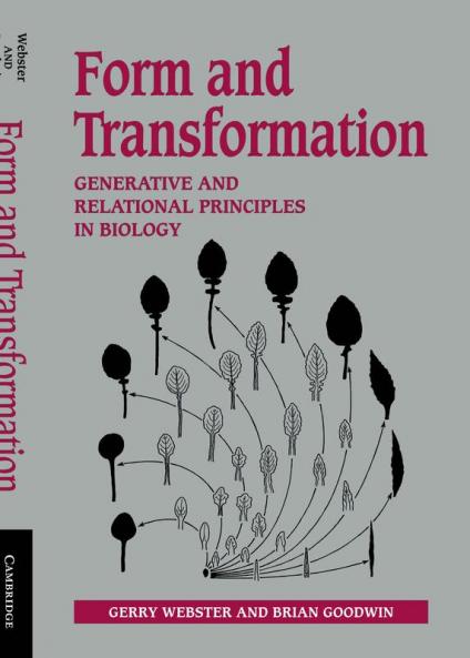Form and Transformation