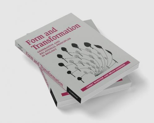 Form and Transformation