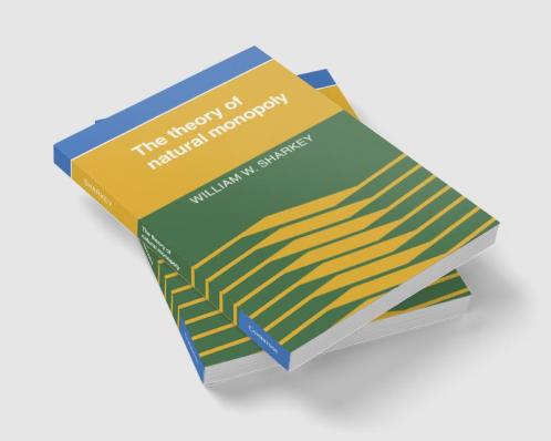 The Theory of Natural Monopoly