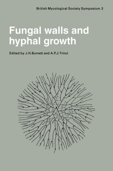 Fungal Walls and Hyphal Growth