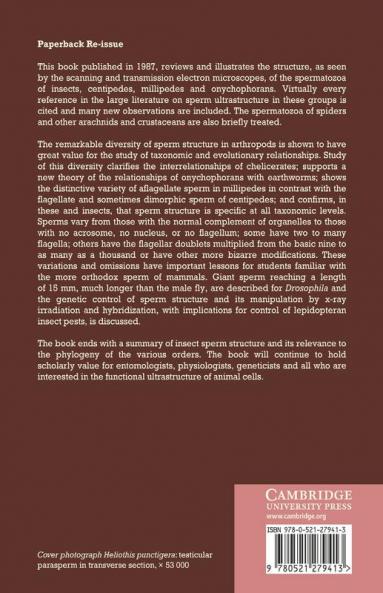 The Ultrastructure and Phylogeny of Insect Spermatozoa