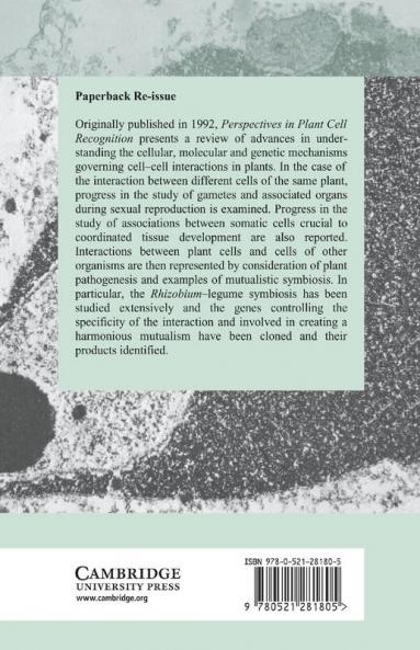 Perspectives in Plant Cell Recognition