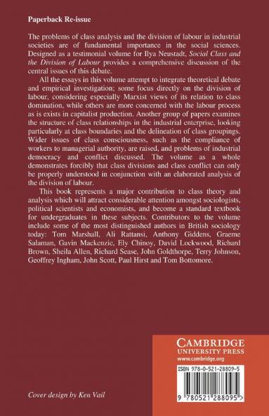 Social Class and the Division of Labour