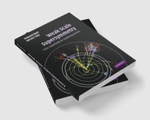 Weak Scale Supersymmetry