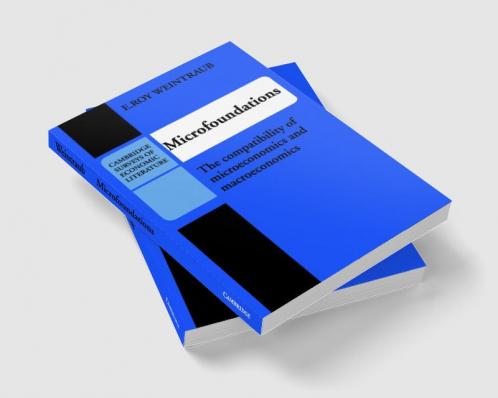 Microfoundations
