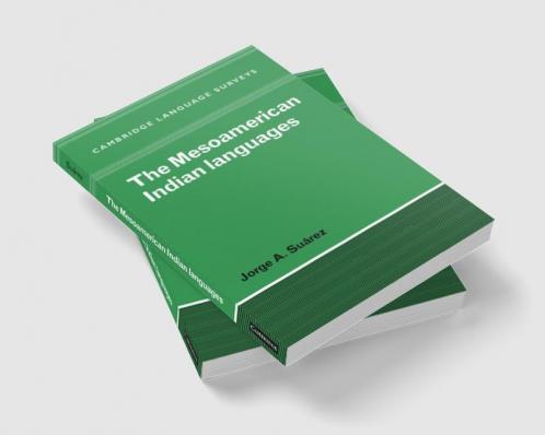 The Mesoamerican Indian Languages