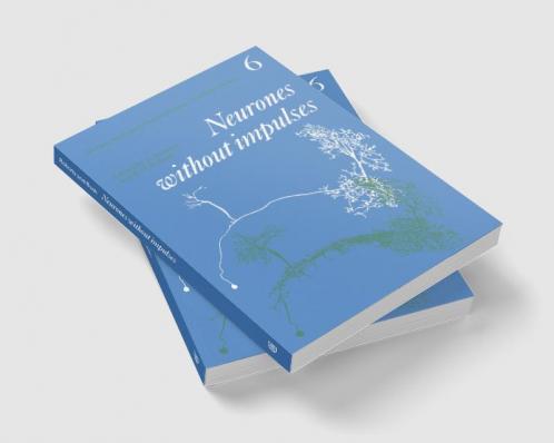 Neurones Without Impulses