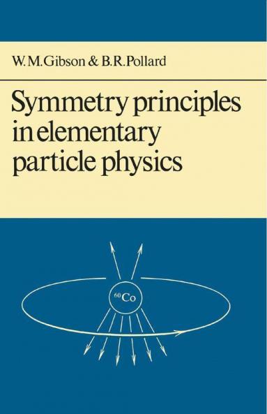 Symmetry Principles Particle Physics