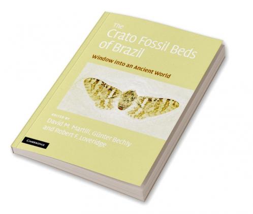 The Crato Fossil Beds of Brazil