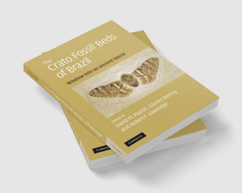 The Crato Fossil Beds of Brazil