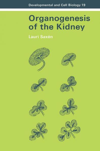 Organogenesis of the Kidney