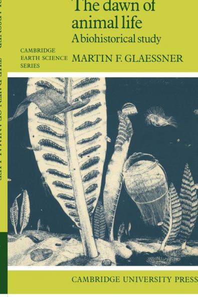 The Dawn of Animal Life
