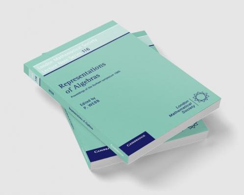 Representations of Algebras