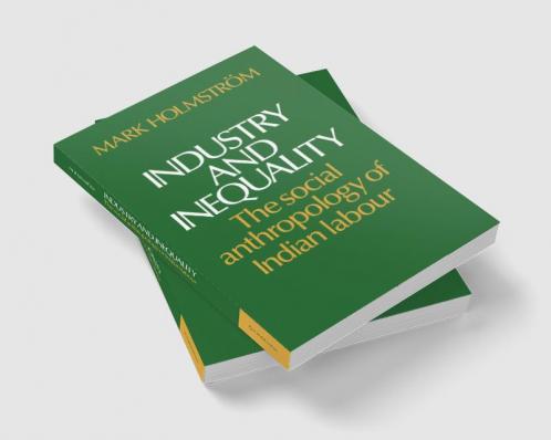 Industry and Inequality