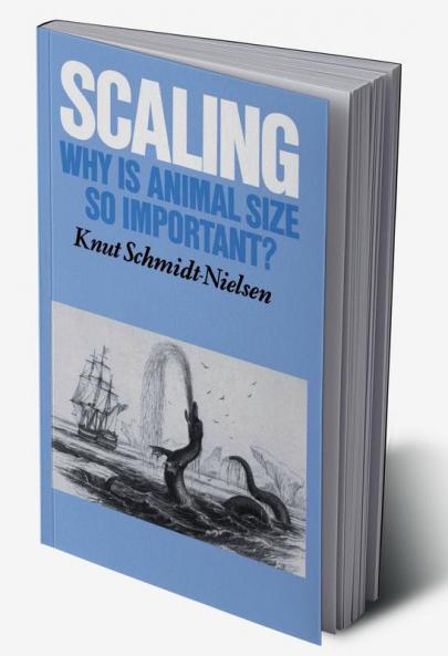 Scaling