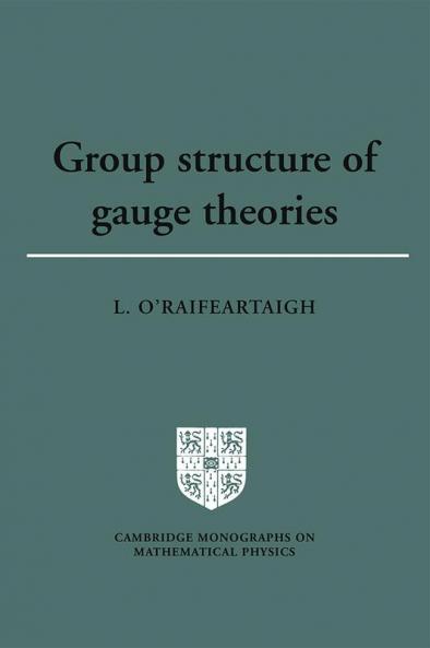 Group Structure of Gauge Theories