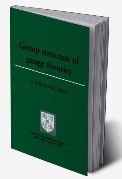 Group Structure of Gauge Theories