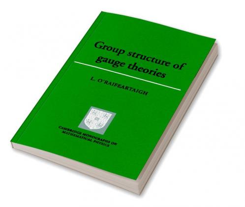 Group Structure of Gauge Theories