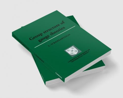 Group Structure of Gauge Theories