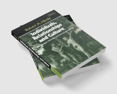 Individuals Relationships and Culture