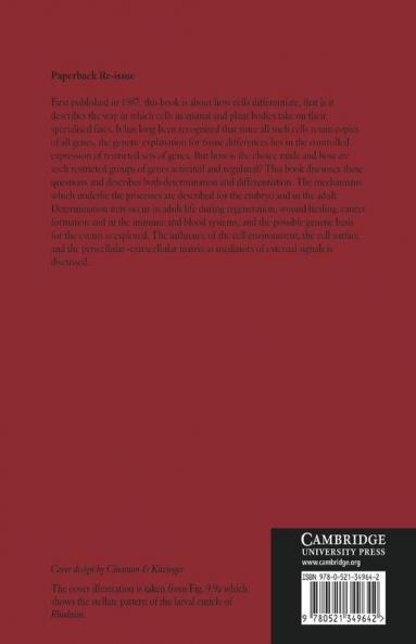 Cell Commitment and Differentiation