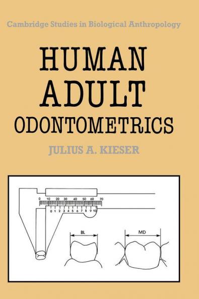 Human Adult Odontometrics