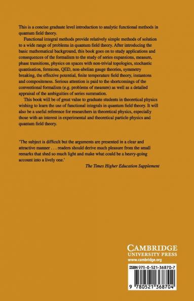 Path Integral Methods in Quantum Field Theory