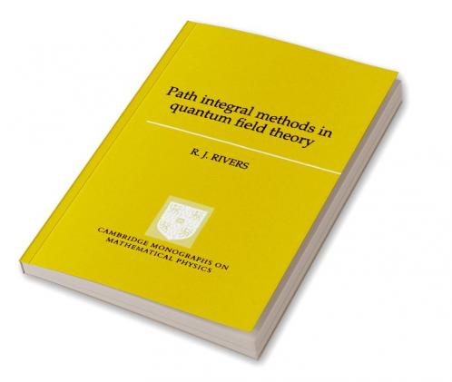 Path Integral Methods in Quantum Field Theory