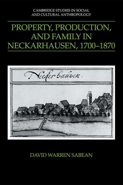 Property Production and Family in Neckarhausen 1700 1870