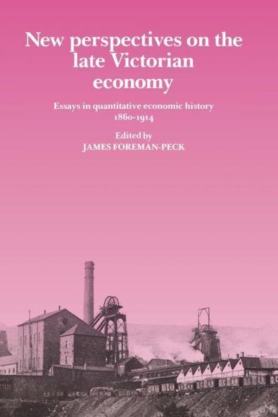 New Perspectives on the Late Victorian Economy