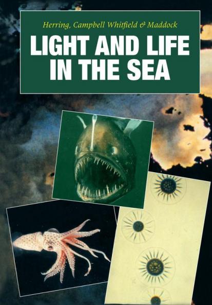 Light and Life in the Sea
