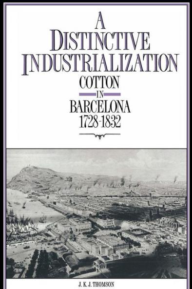 A Distinctive Industrialization