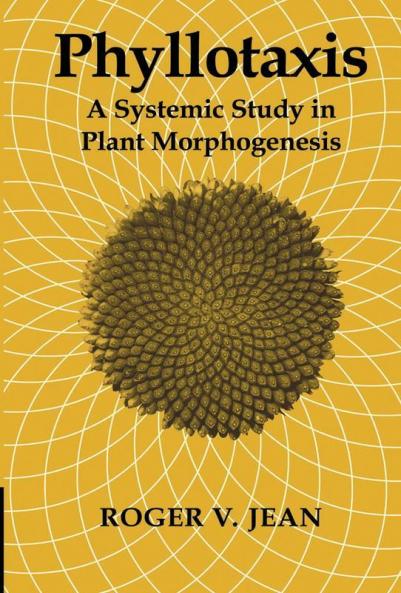 Phyllotaxis