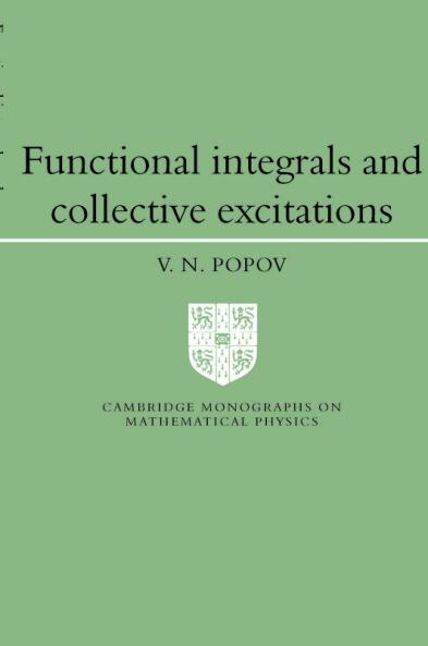 Functional Integrals and Collective Excitations