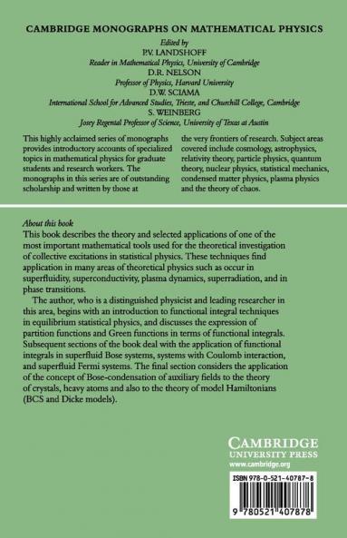 Functional Integrals and Collective Excitations