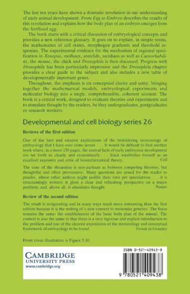 From Egg to Embryo