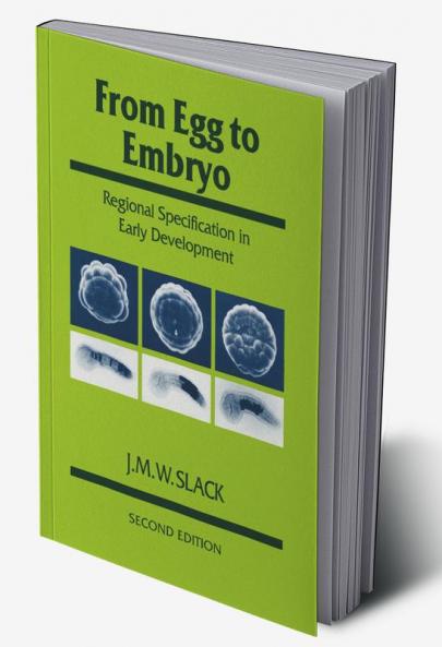 From Egg to Embryo