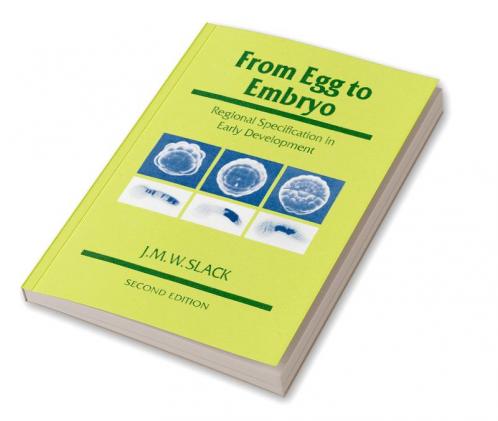 From Egg to Embryo