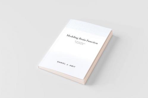 Modelling Brain Function